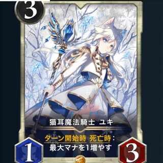 『専用』猫耳魔法騎士 ユキ