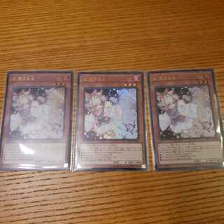 灰流うらら　ウルトラ　3枚