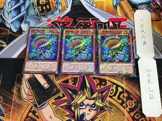 捕食植物スピノ・ディオネア SPFE 1 ノーマルパラレル 3枚セット てら