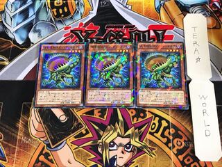 捕食植物スピノ・ディオネア SPFE 2 ノーマルパラレル 3枚セット てら