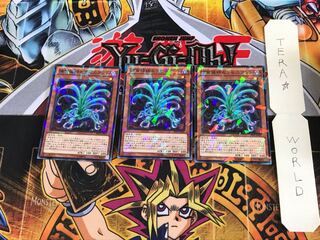 捕食植物セラセニアント SPFE 1 ノーマルパラレル 3枚セット てら