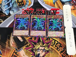 捕食植物セラセニアント SPFE 2 ノーマルパラレル 3枚セット てら