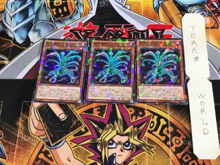 捕食植物セラセニアント SPFE 3 ノーマルパラレル 3枚セット てら