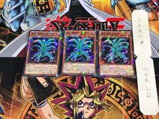 捕食植物セラセニアント SPFE 5 ノーマルパラレル 3枚セット てら