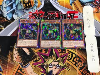 捕食植物プテロぺンテス SPFE 3 ノーマルパラレル 3枚セット てら