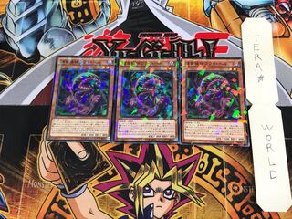 捕食植物フライ・ヘル SPFE 5 ノーマルパラレル 3枚セット てら