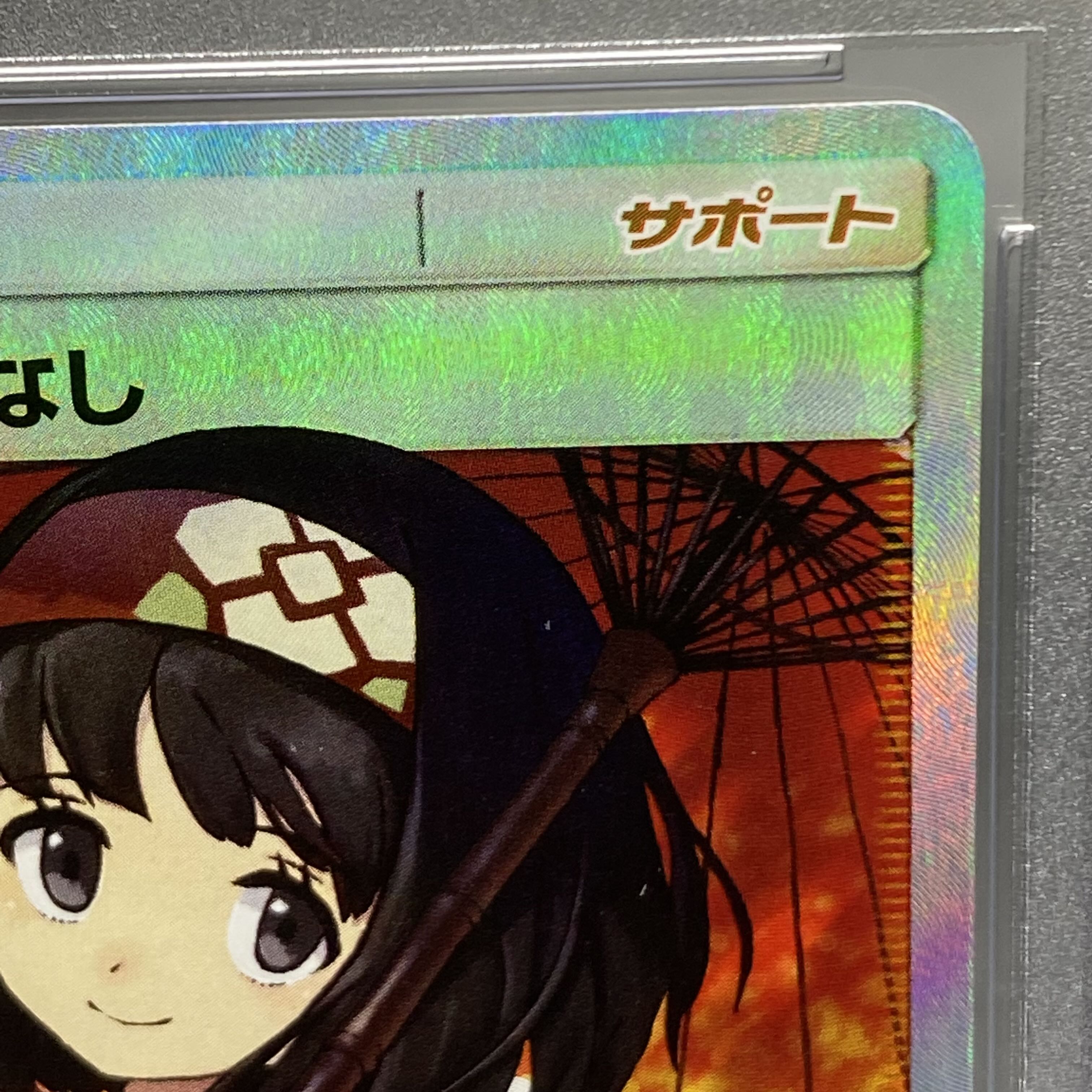 PSA9 Erika's Hospitality SR 190/173