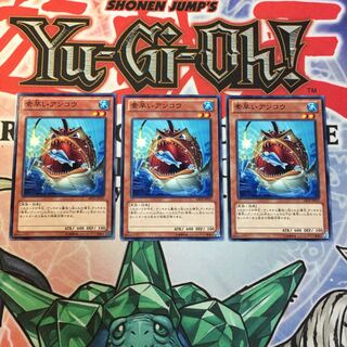 【もふもふ】素早いアンコウ