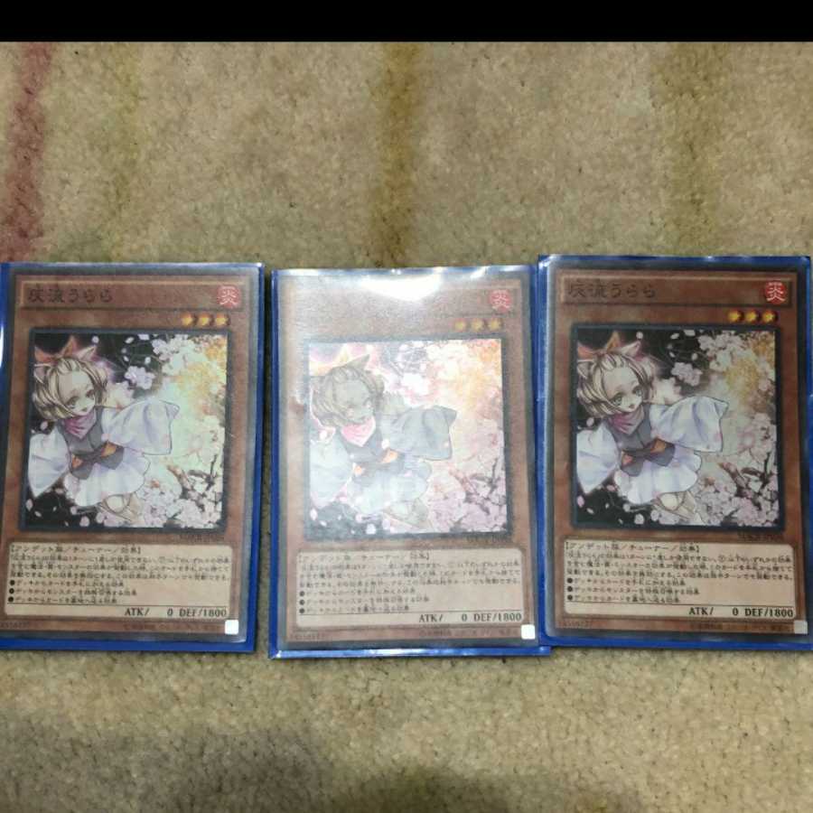 桃太郎様専用◆ 1枚