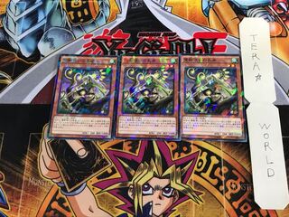 霊獣使いの長老 SPTR 3 ノーマルパラレル 3枚セット てら