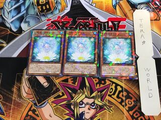 六花のひとひら DBSS 4 ノーマルパラレル 3枚セット てら