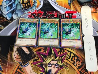 PSY-Frame Driver SPHR 1 Normal Parallel 3-card set Tera