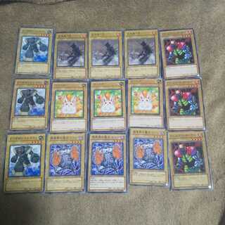 Set of 40 ordinary bone decks.