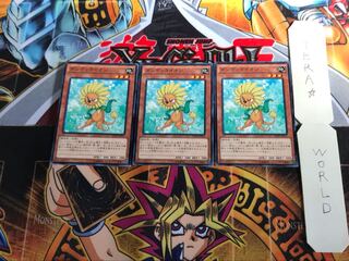 ダンディライオン DC01 1 ノーマルパラレル 3枚セット てら