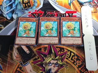 ダンディライオン DC01 2 ノーマルパラレル 3枚セット てら