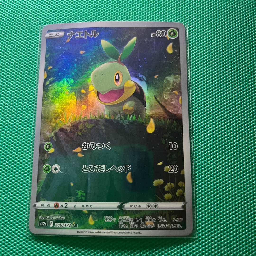 Turtwig AR 206/172