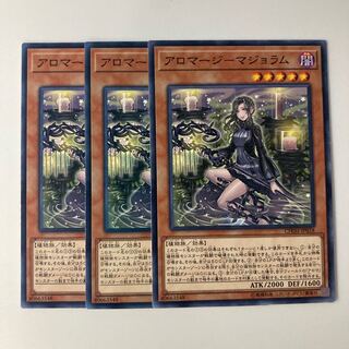 9764 Aromage Marjoram $5670