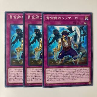 9792 Huaquero of the Golden Land $5702