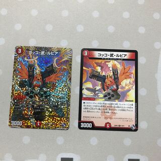 Cocco Bu Lupia R 19/74