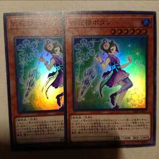 六花精ボタン 2枚