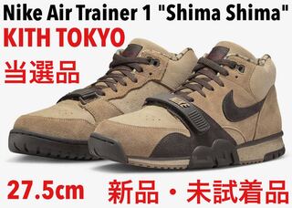 NIKE エアトレーナー1 しましま 27.5cm
