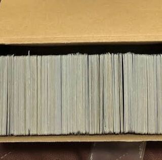 ストレージ　1000枚　１セット