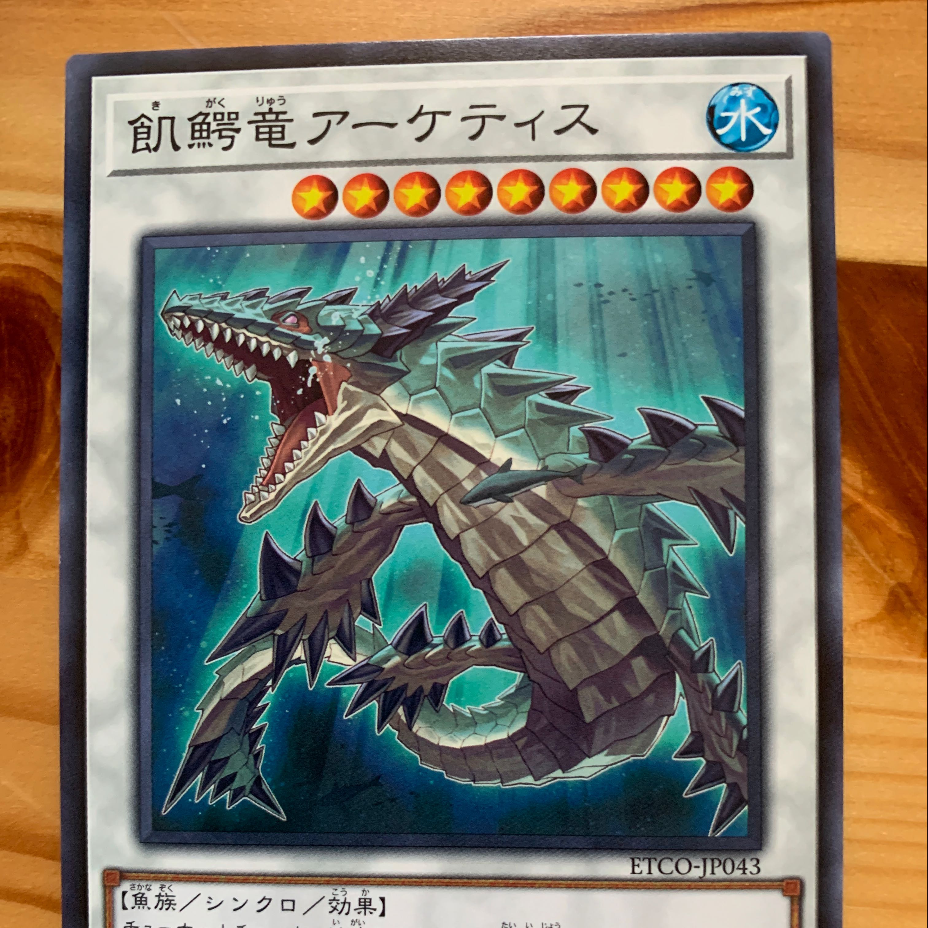 Archetis (genus of starving jawless fishes)