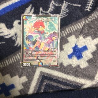 その子供、可憐につき