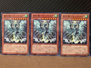 【ぽぽたん】遊戯王 6340 嵐征竜-テンペスト 3枚 ノーマル