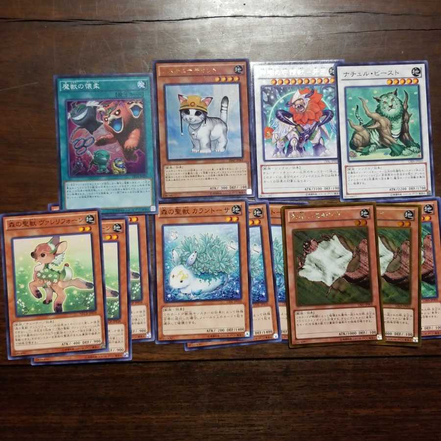 魔獣の懐柔　獣族汎用セット