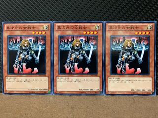 【ぽぽたん】遊戯王 4387 異次元の女戦士 3枚 ノーマル