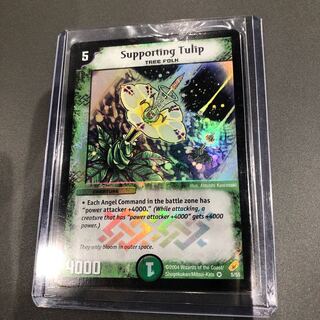 応援チューリップ 英語版