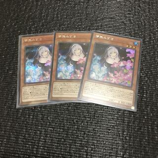 儚無みずき(シクイラスト違い) 3枚セット