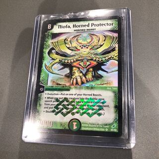 フィオナ 英語版