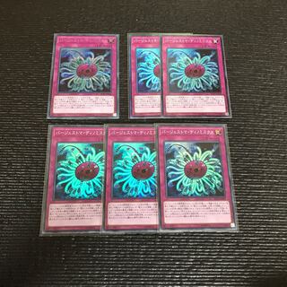 バージェストマ・ディノミスクス