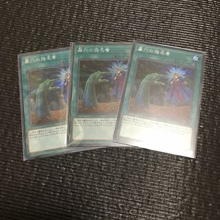 墓穴の指名者(シク) 3枚セット