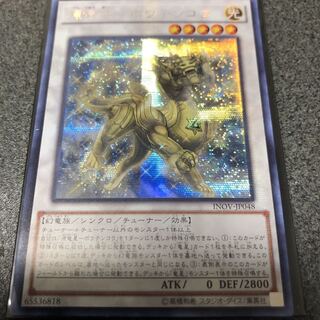 源竜星　ガイザー＋ボウテンコウ　アジア　シークレット