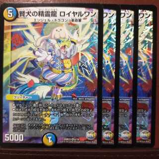 Set Discount Wise Dog Spirit Dragon Royal One