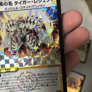 真実の名 タイガー・レジェンド3枚