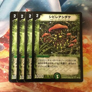 シビレアシダケ