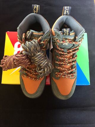 ナイキダンクハイパスポート 24.5cm