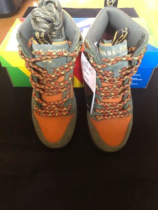 ナイキダンクハイパスポート 23.5cm