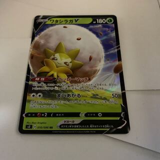 ワタシラガV 1枚