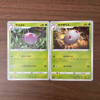 カラサリス マユルド 計2枚