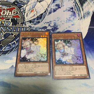 灰流うらら　ウルトラ二枚