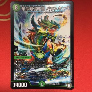 革命類侵略目 パラスキング