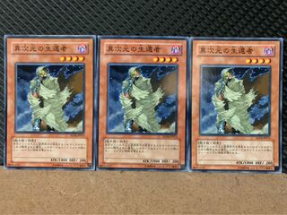 【ぽぽたん】遊戯王 8799 異次元の生還者 3枚 ノーマル