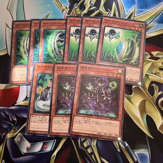 サイコトラッカー セット　262