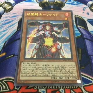 焔聖騎士リナルド