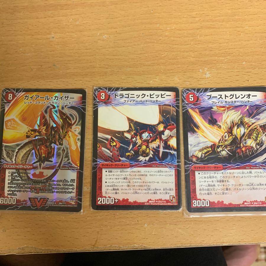 Gaiard's dragon (Oudragon gaiardii)